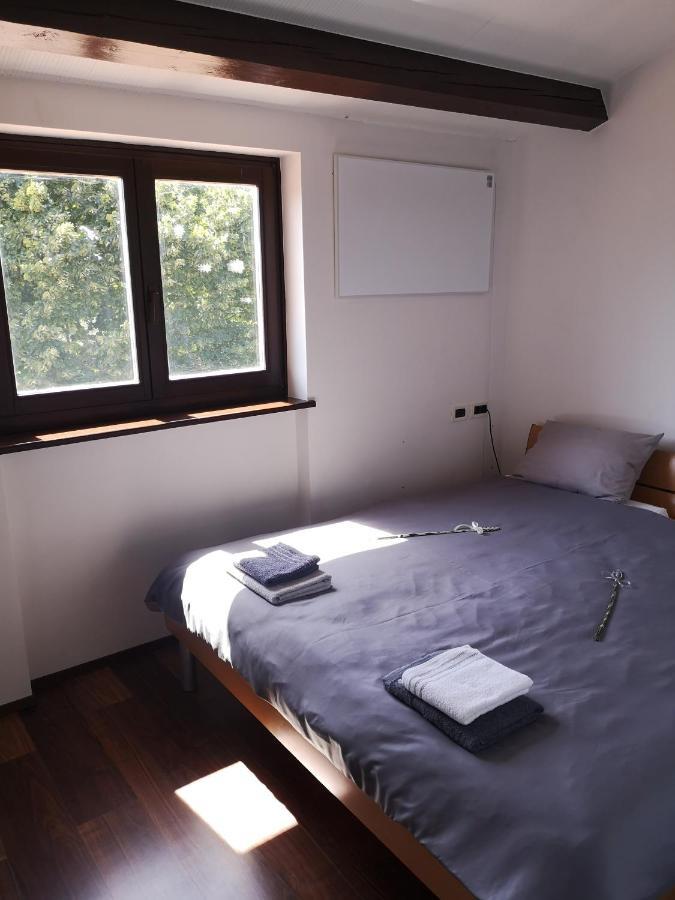 Apartma Rok Plavje Kültér fotó